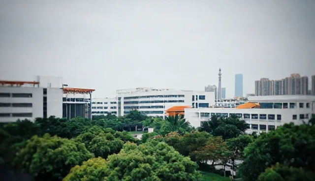 ERP系统性能优化与适用场景的实践考量