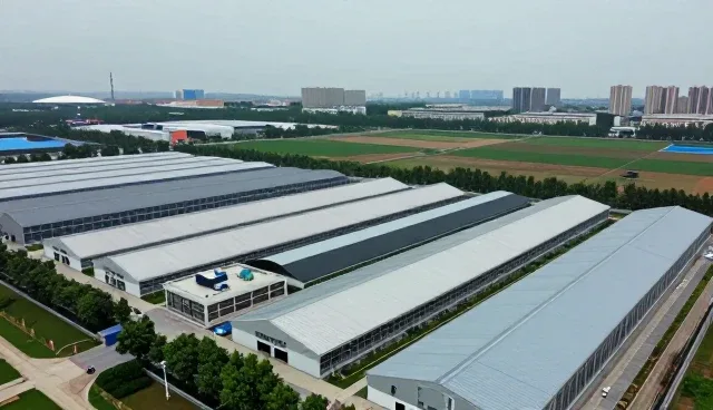 团队协作驱动推广效果：技术咨询业务的转型路径